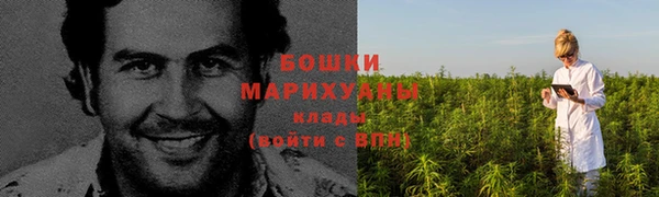 первитин Армянск