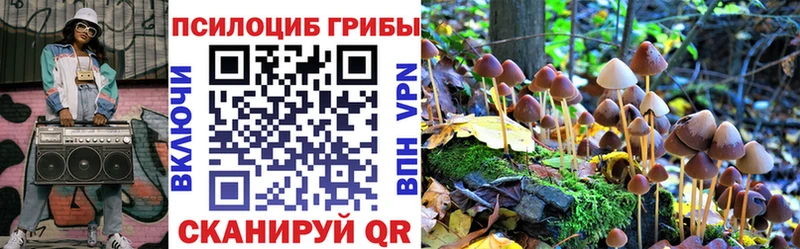 гидра онион  Артёмовский  Галлюциногенные грибы прущие грибы 